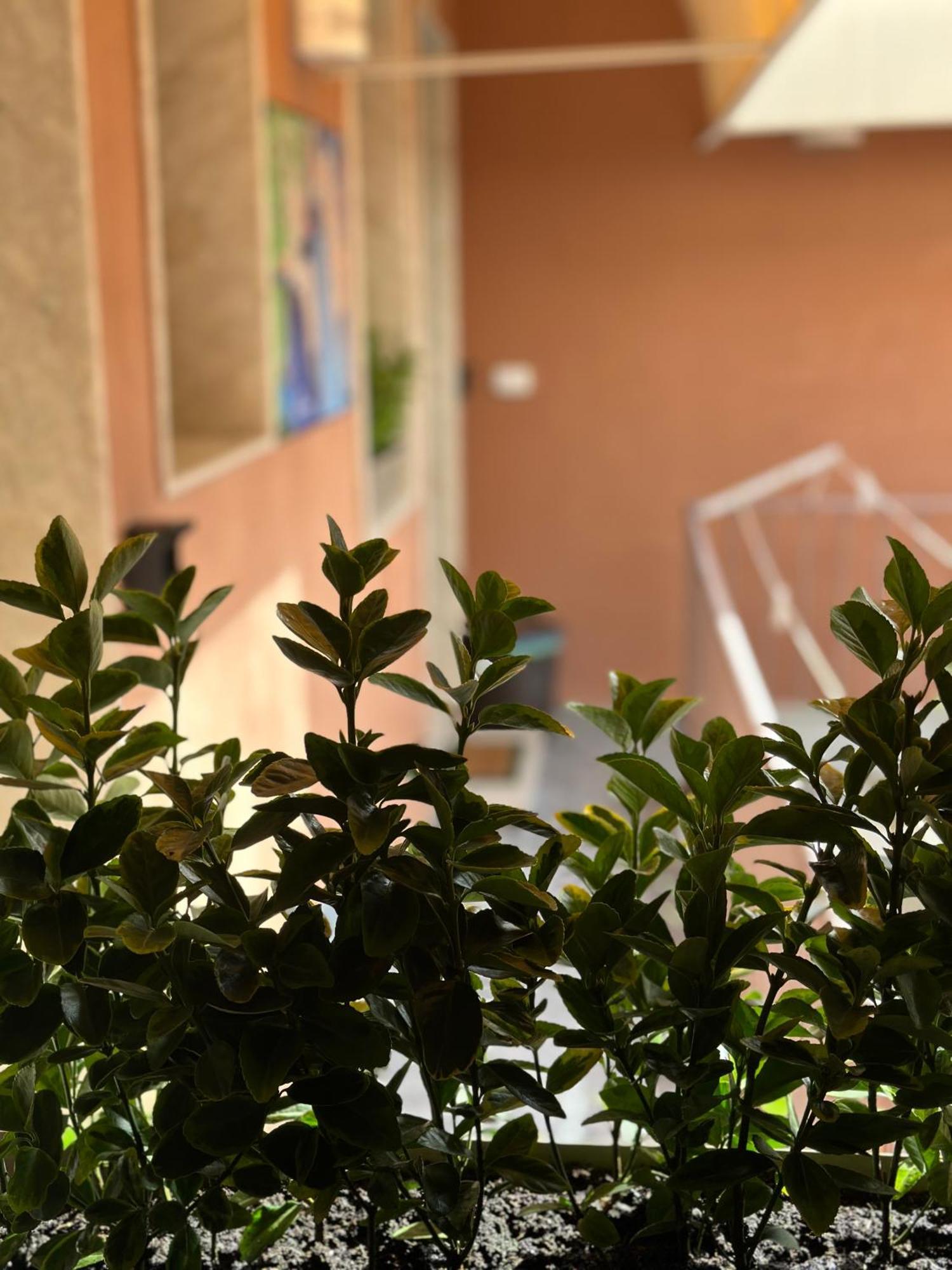 Le Camere Luxury Rooms Siracusa Syracuse Екстер'єр фото