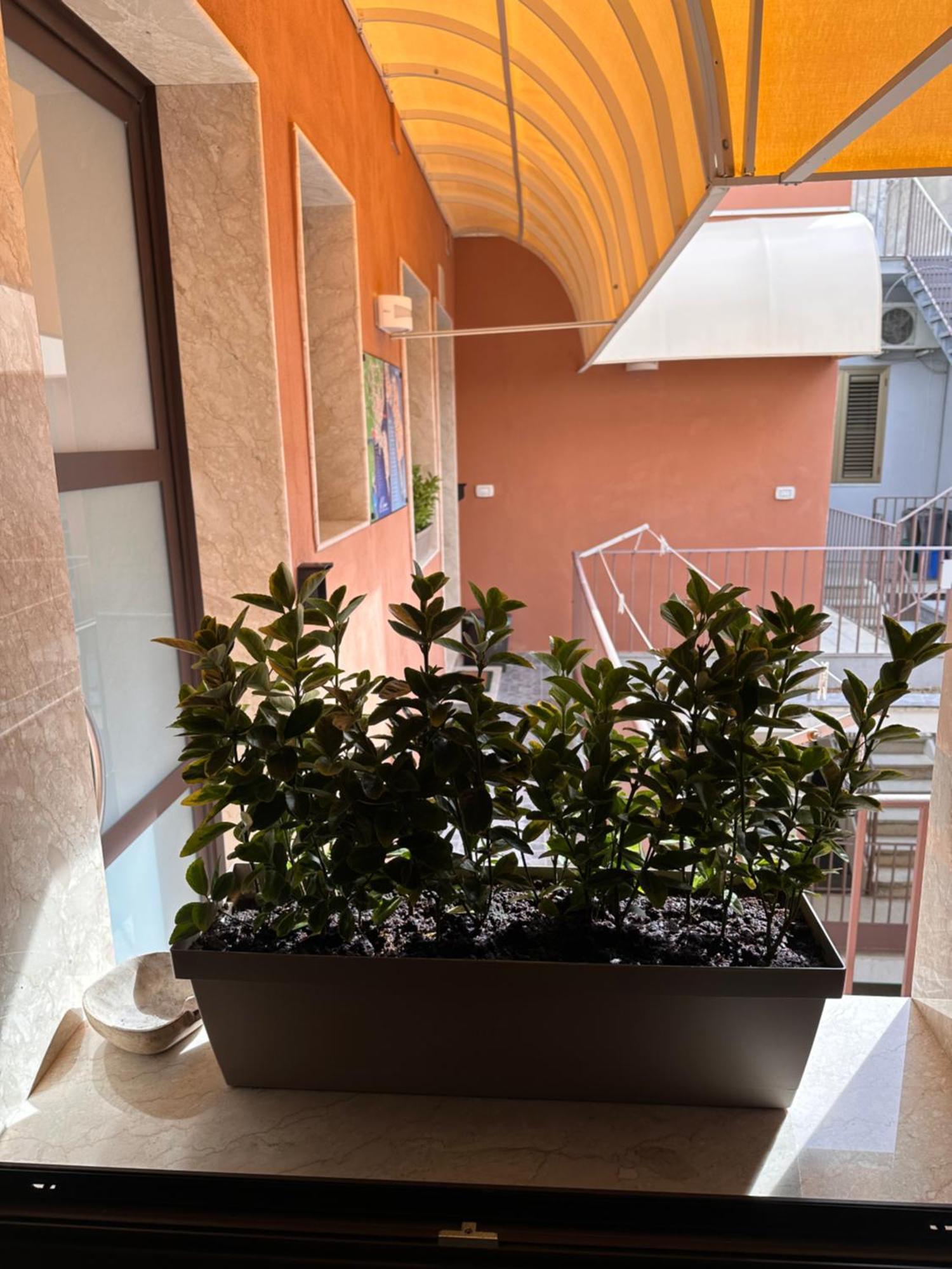 Le Camere Luxury Rooms Siracusa Syracuse Екстер'єр фото